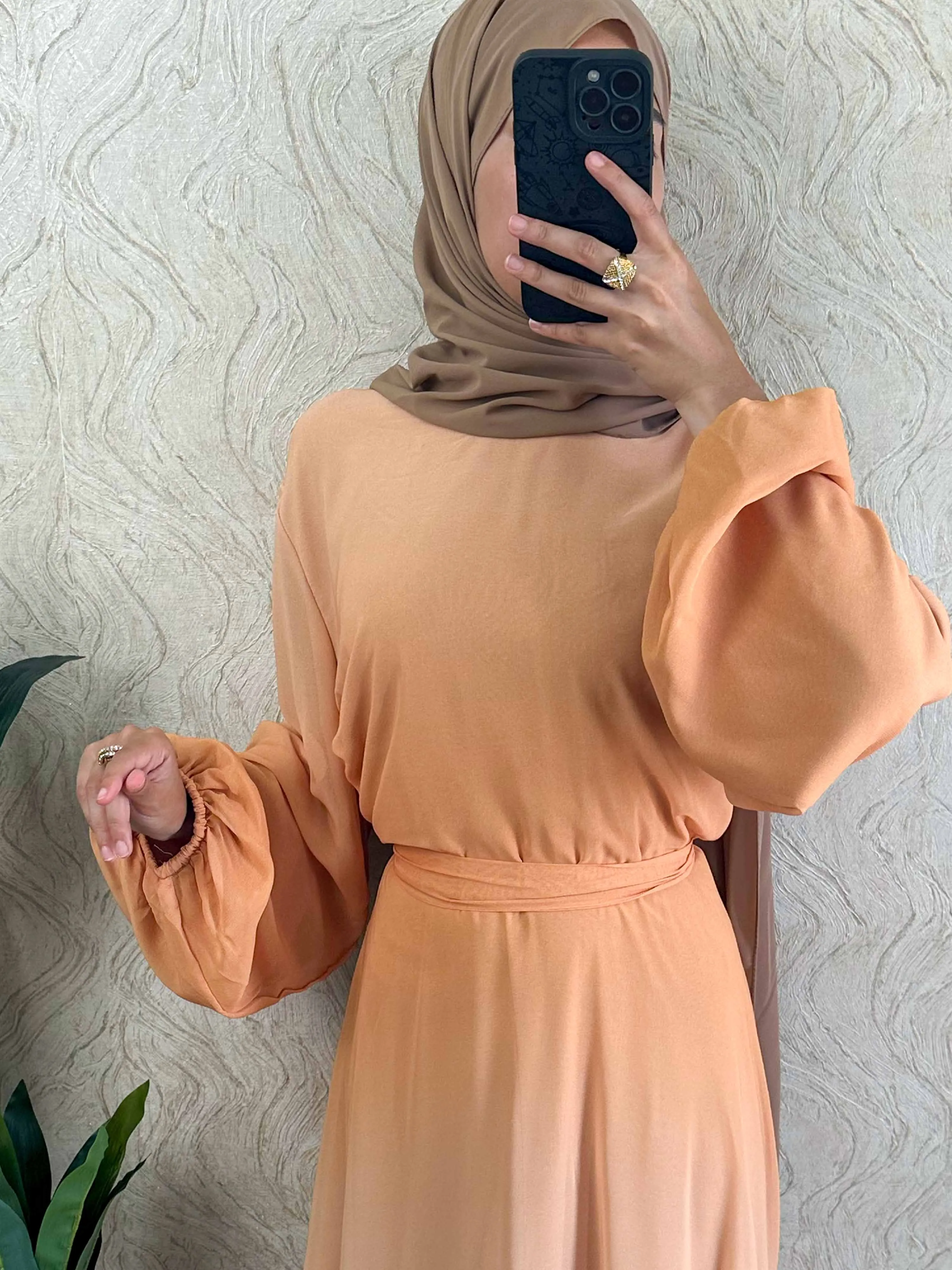 DMN Ombre Chiffon  Dress