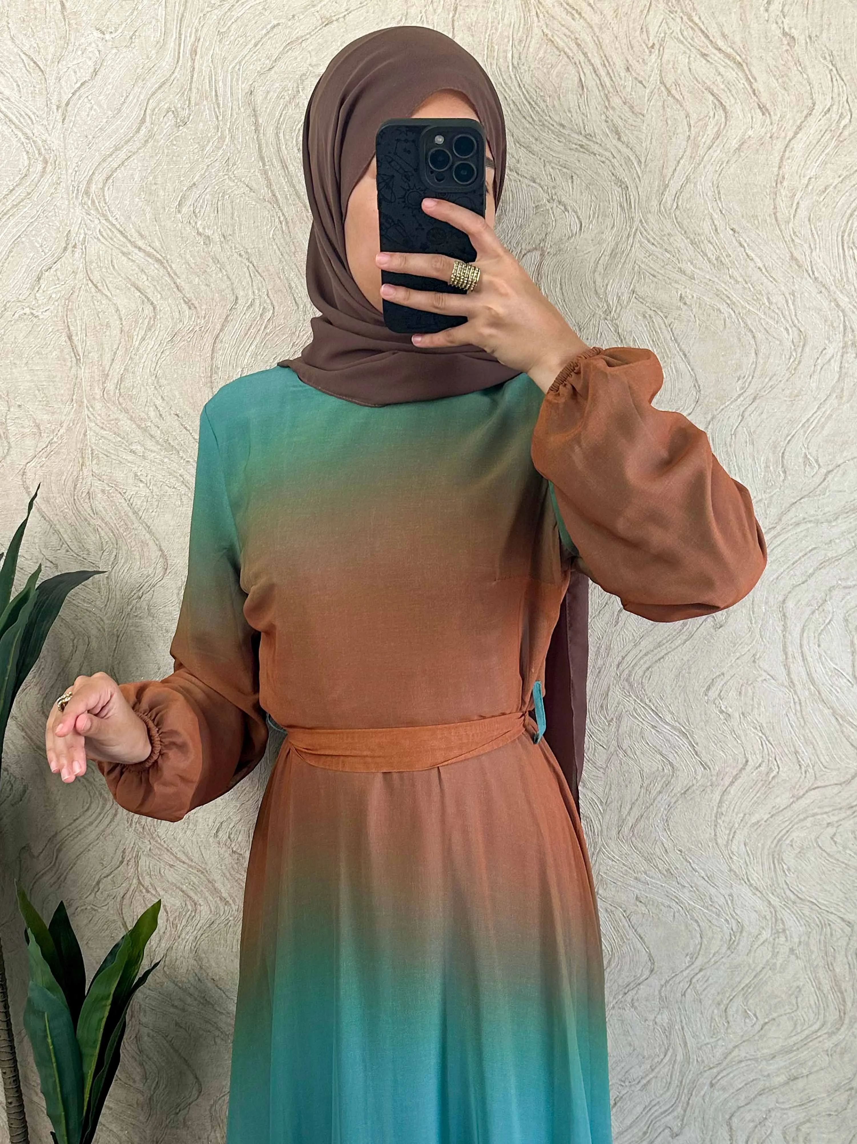 DMN Ombre Chiffon  Dress