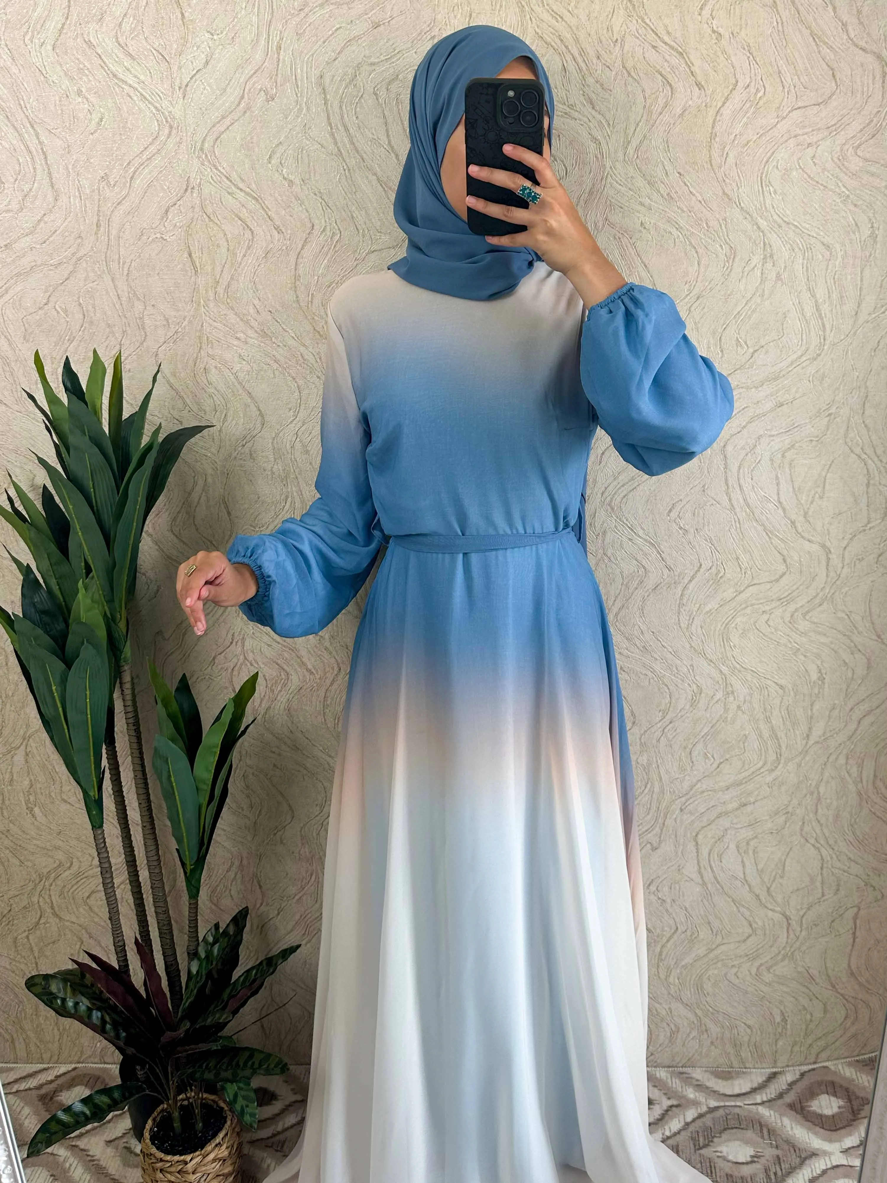 DMN Ombre Chiffon  Dress
