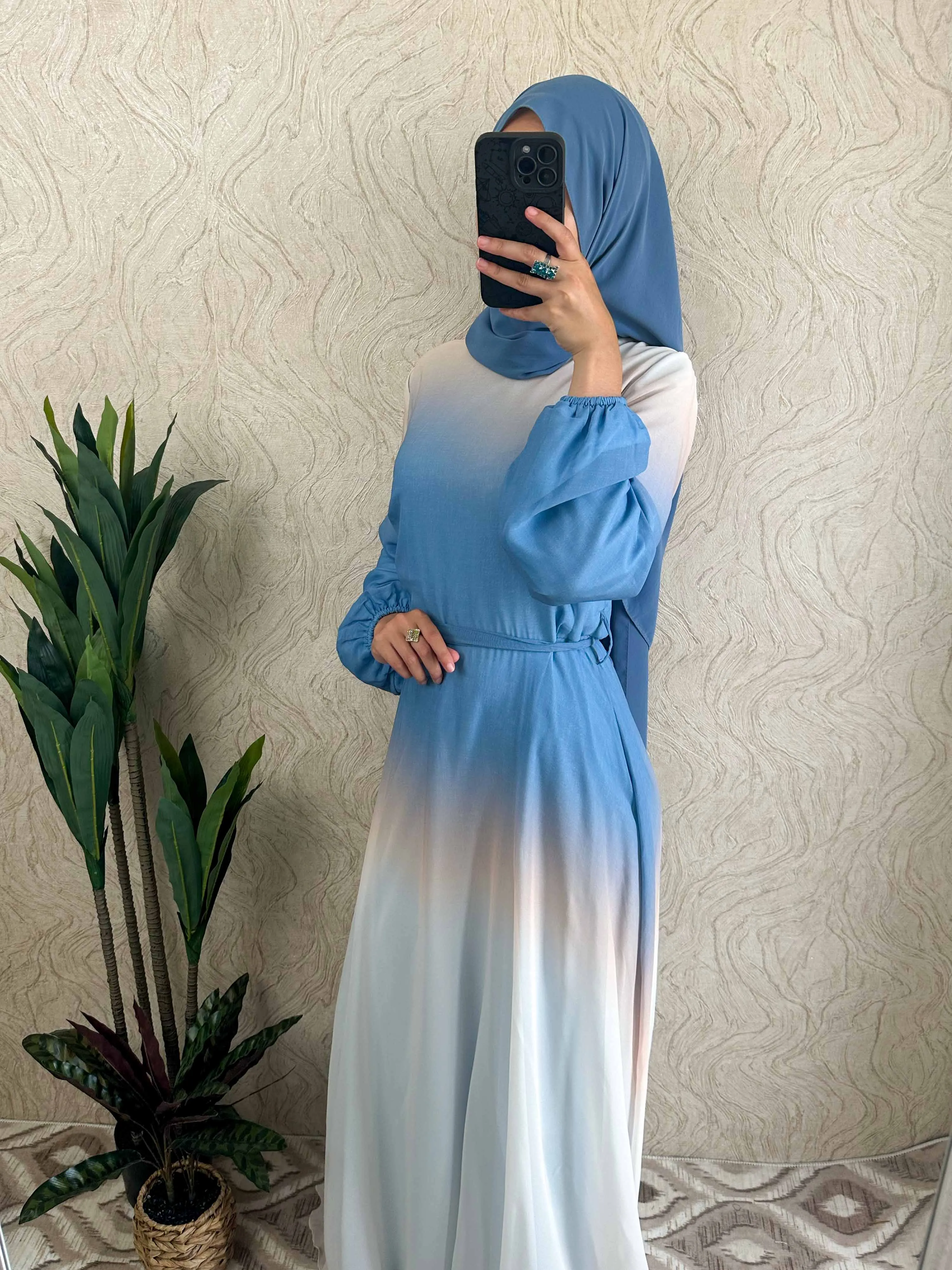 DMN Ombre Chiffon  Dress