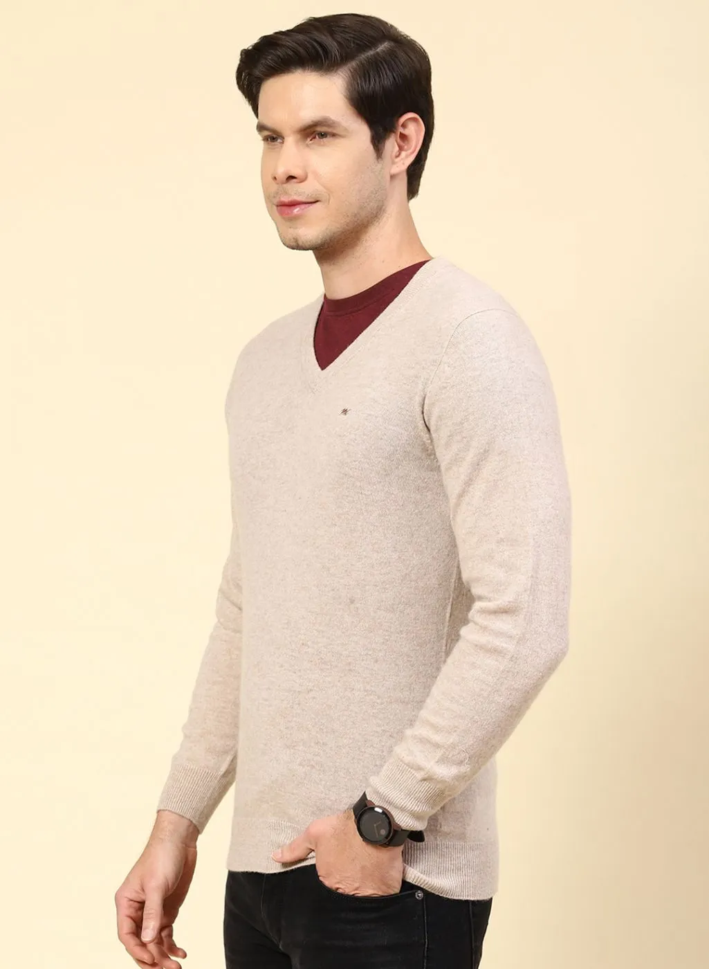 Men Beige Solid Lamb wool Pullover