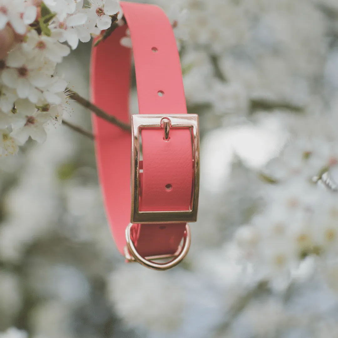 Mystery Biothane Collars | Signature & Classic Collars