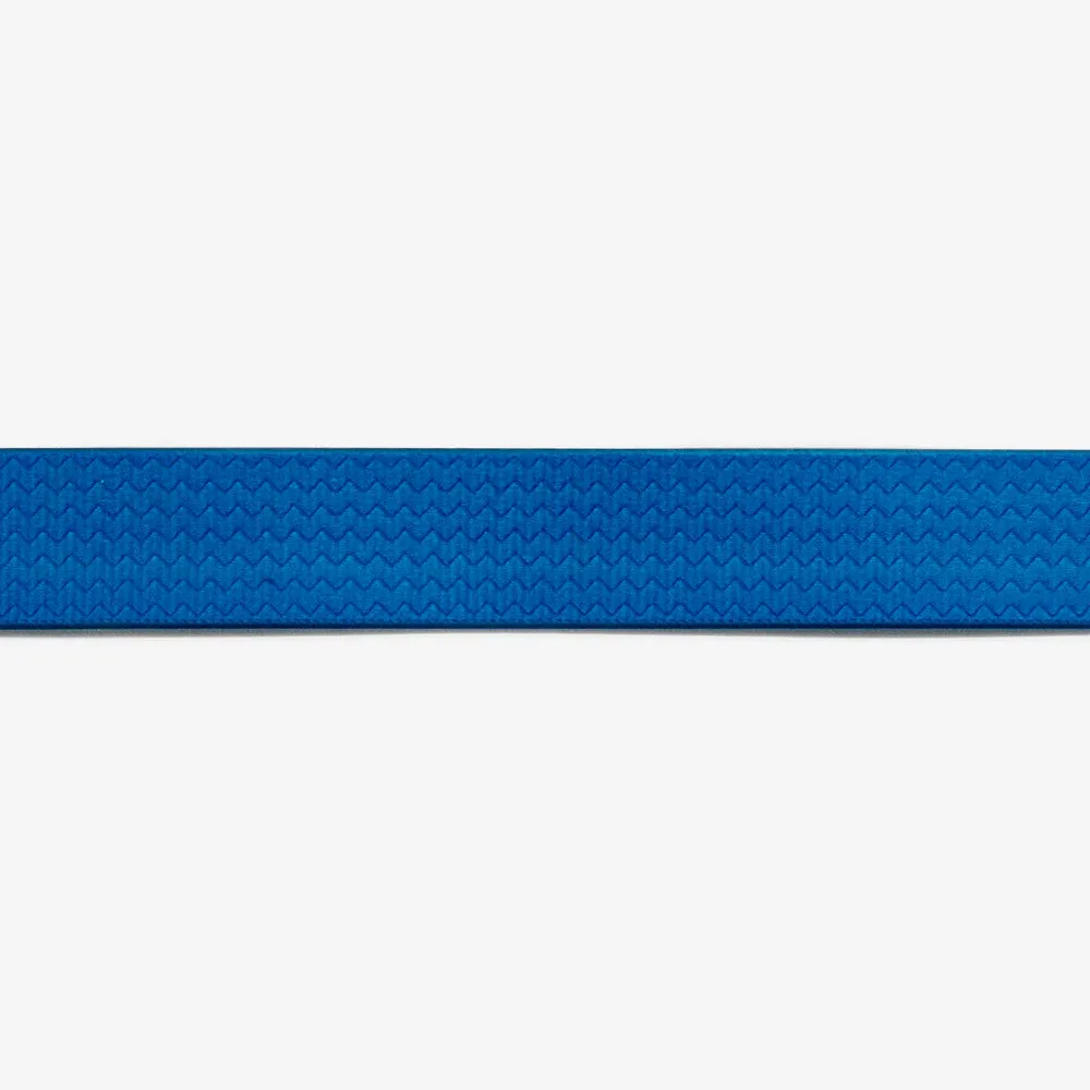 NEOPRO Blue Dog Collar