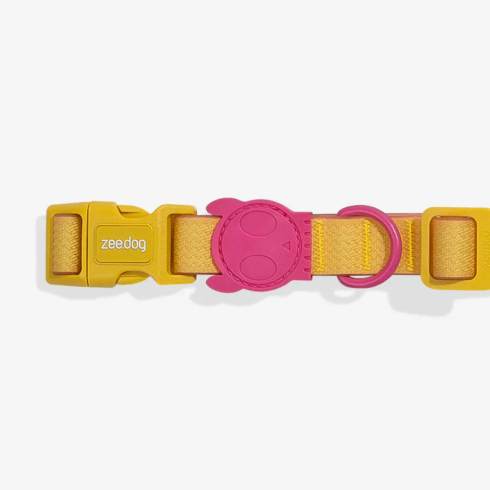 NEOPRO Lyra Dog Collar