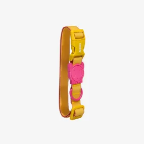 NEOPRO Lyra Dog Collar