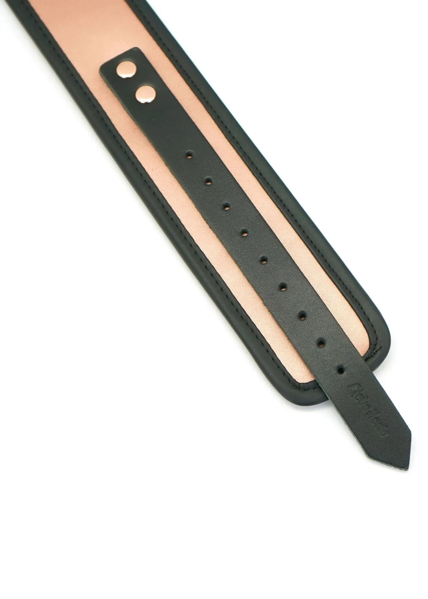 NEW Rose Gold Memory Collar and Leash