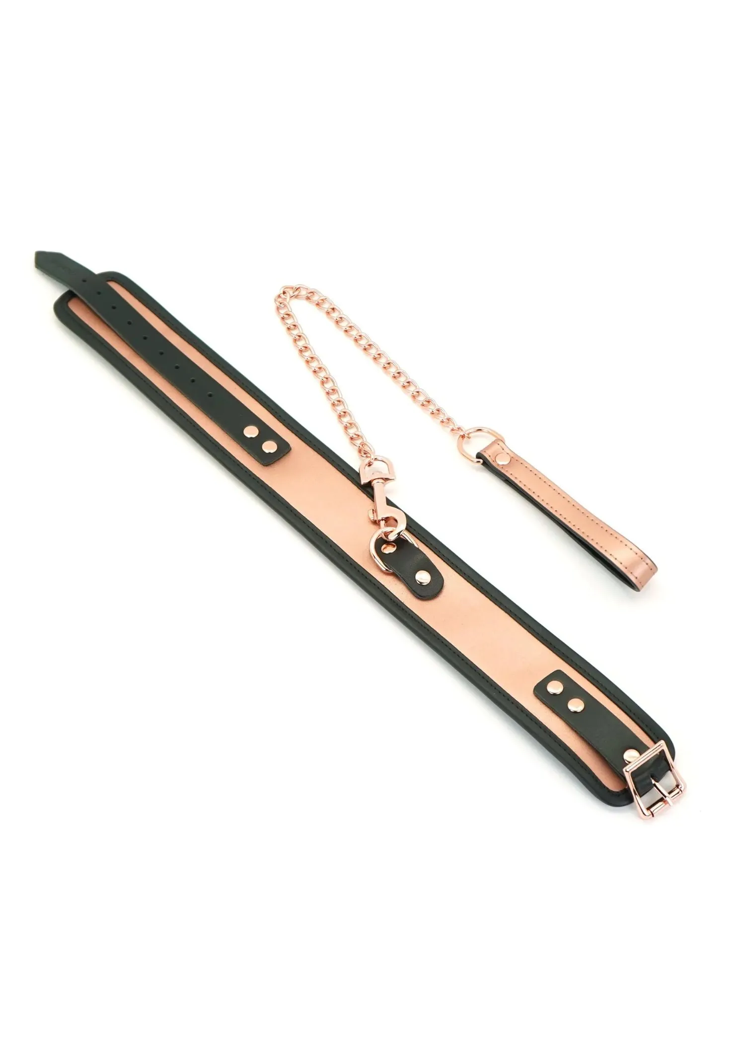 NEW Rose Gold Memory Collar and Leash
