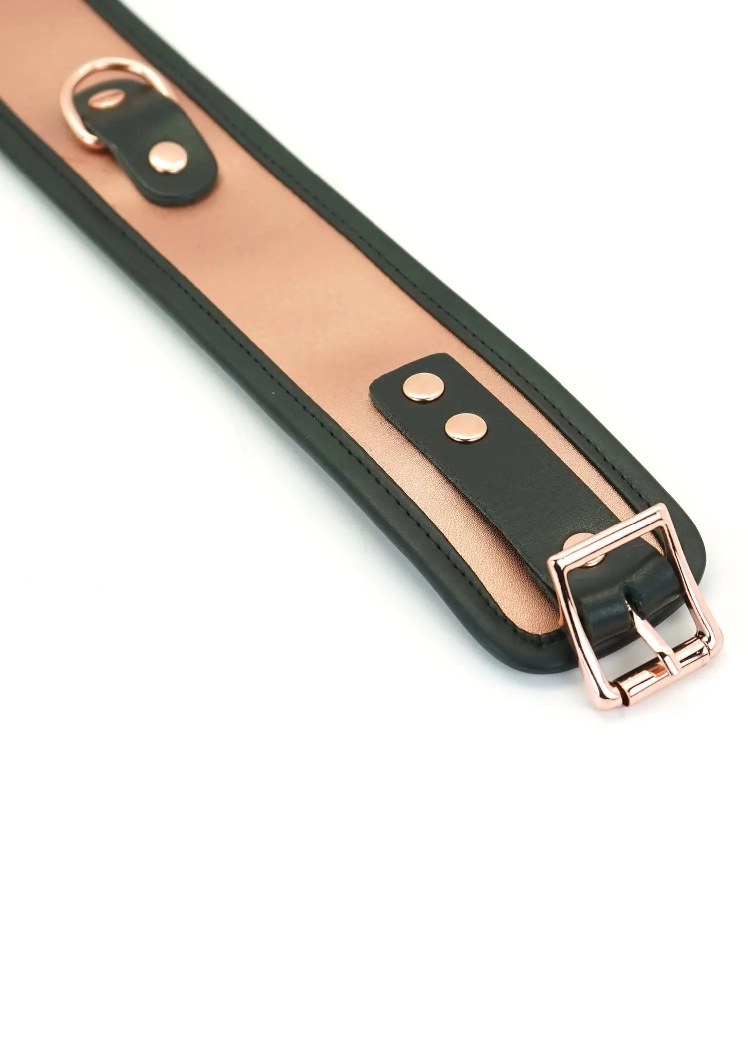 NEW Rose Gold Memory Collar and Leash