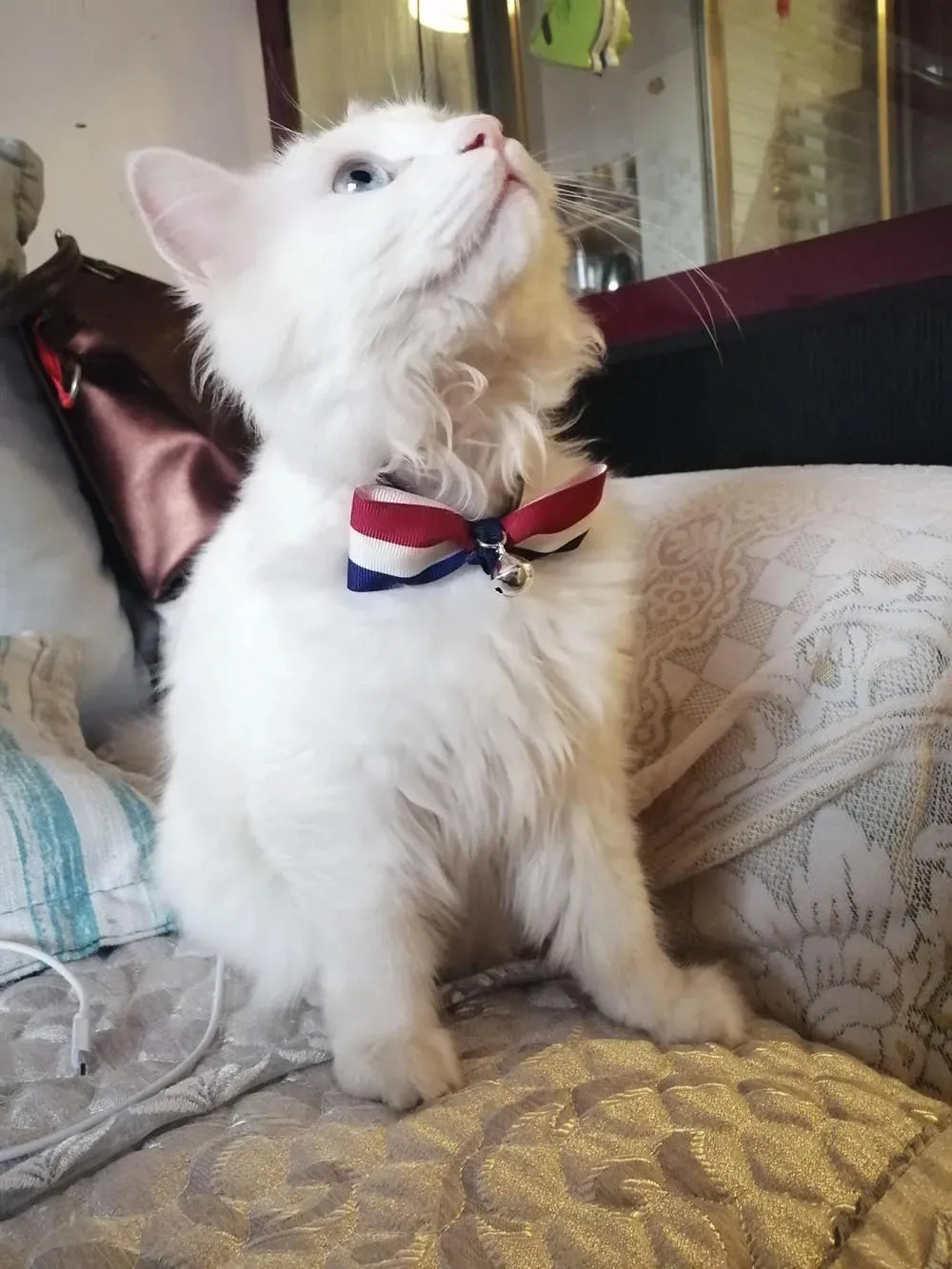 USA Themed Breakaway Bowtie Collars