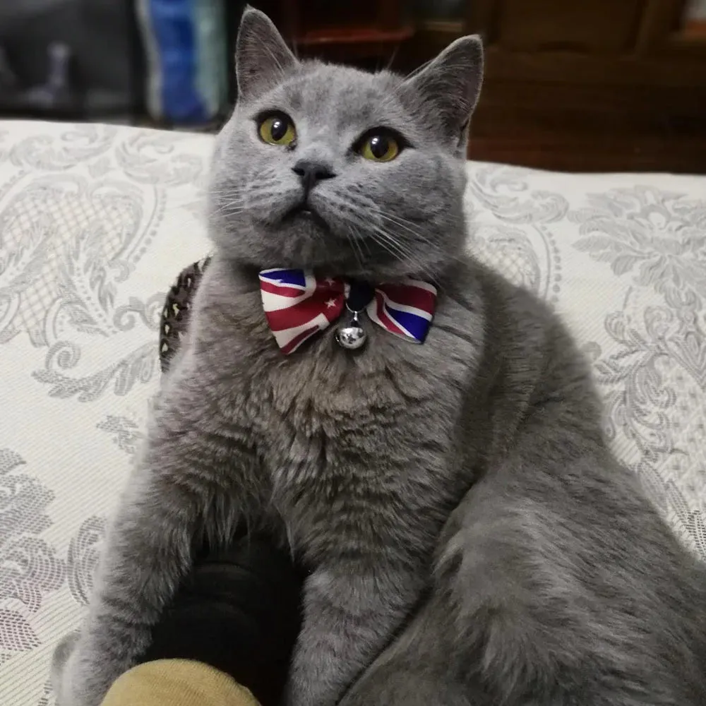 USA Themed Breakaway Bowtie Collars