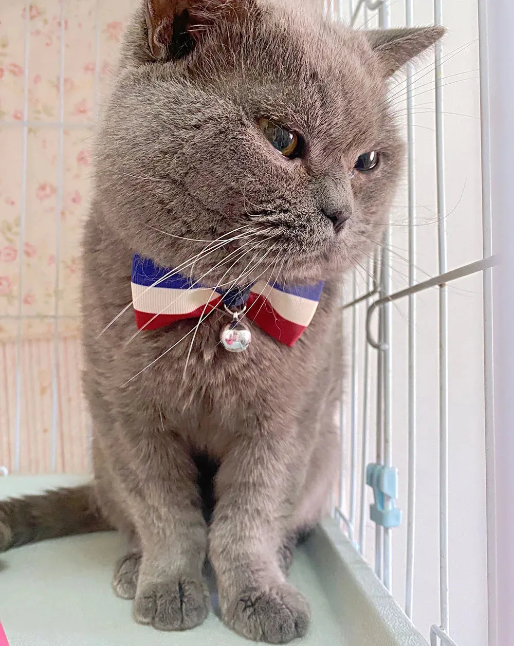 USA Themed Breakaway Bowtie Collars