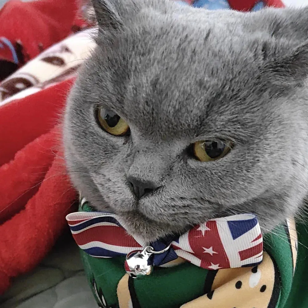 USA Themed Breakaway Bowtie Collars