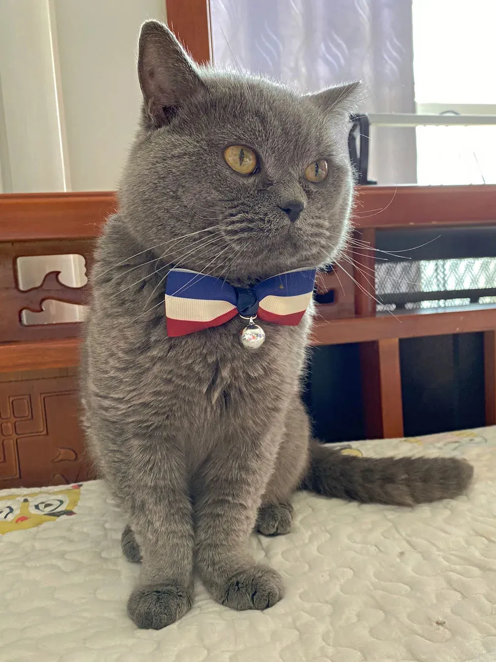 USA Themed Breakaway Bowtie Collars