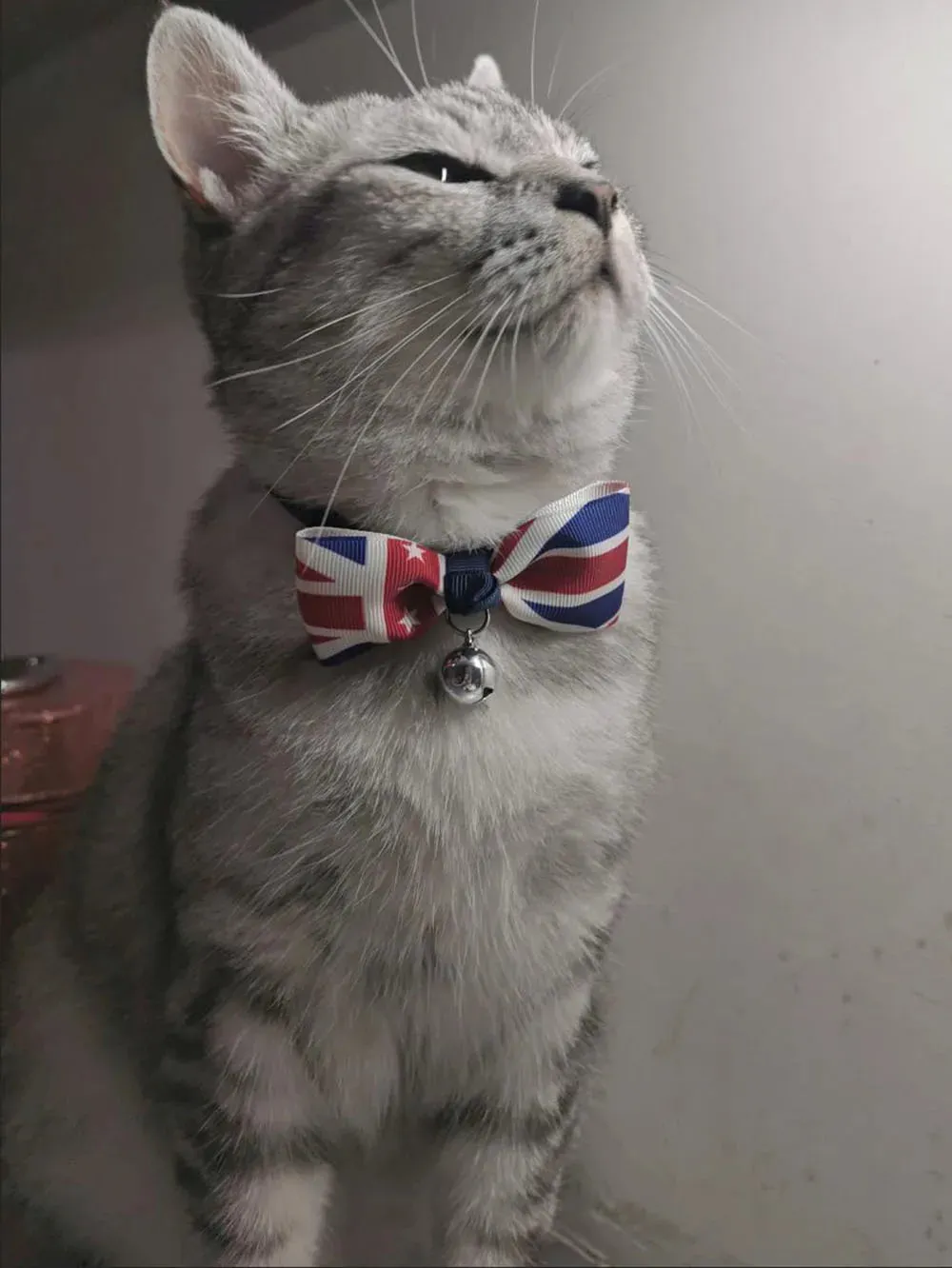 USA Themed Breakaway Bowtie Collars
