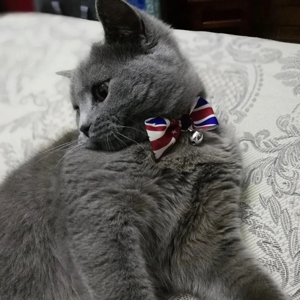 USA Themed Breakaway Bowtie Collars